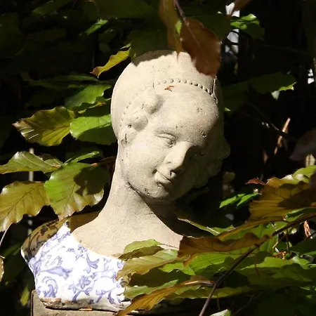 Ferienwohnungen-in-bacharach باشاراش