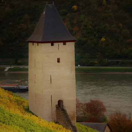 Ferienwohnungen-in-bacharach باشاراش