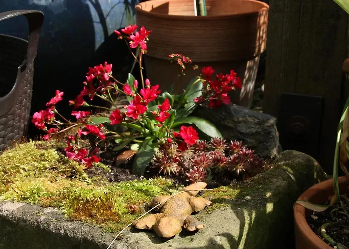 Ferienwohnungen-in-bacharach *