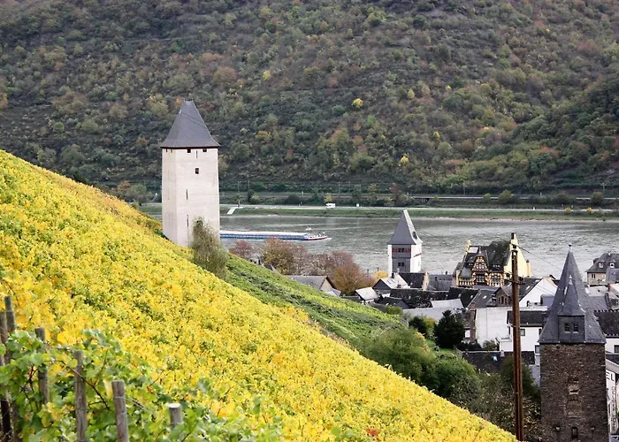 Apartamento Ferienwohnungen-in-bacharach *