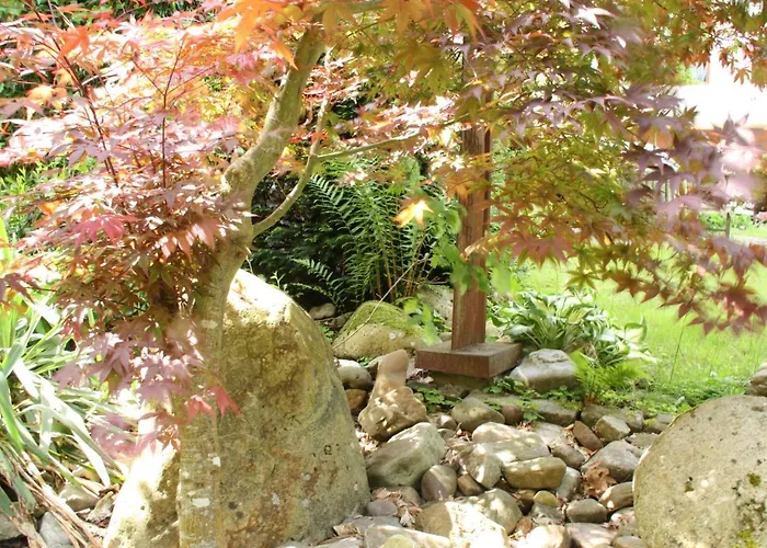 Apartamento Ferienwohnungen-in-bacharach *