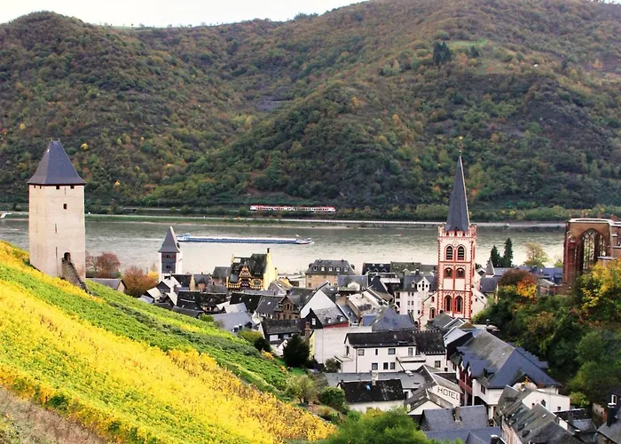 Ferienwohnungen-in-bacharach *